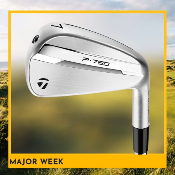 WIN TAYLORMADE P790 IRONS (5-PW) #286